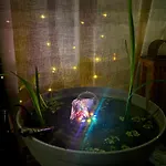 Happyhome Bahnhofnah Gemuetlich Familiaer * アルンシュタット