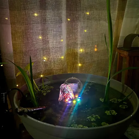 Happyhome Bahnhofnah Gemütlich Familiär * Arnstadt