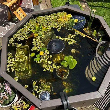 Happyhome Bahnhofnah Gemütlich Familiär Apartment *